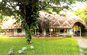 hotel spIce village  periyar