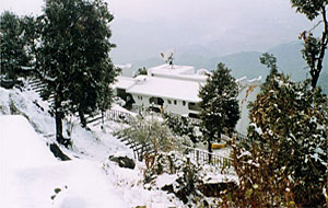 sterlINg dayS inn  mussoorie