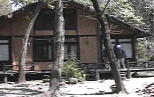 Hotel Machan lodge chitwan