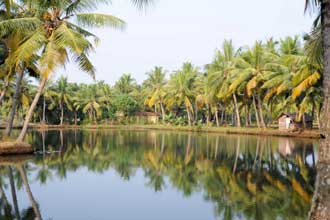 South India and Goa tour